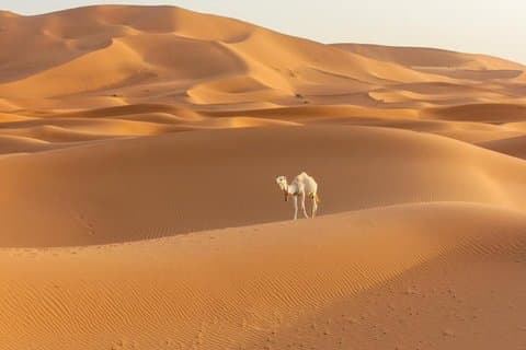 3-tägige Mehrtagestour von Marrakesch zu den Merzouga Sahara Dünen