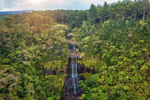 Visite privée du Sud-Ouest et de la cave de Takamaka avec déjeuner