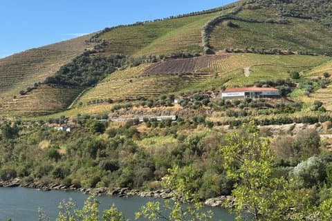 Douro-vallei en riviertour vanuit Porto met lunch en wijn