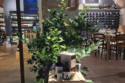 Vin- og olivenoliesmagning i en lille middelalderlandsby