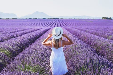 Privat rundtur: Provence Lavendel & lokala smaker från Marseille