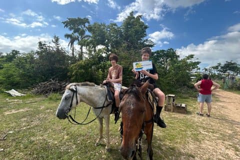 Horseback Ride/Swim and Blue Hole Falls Tour