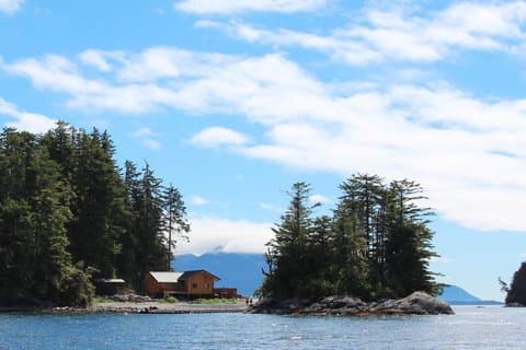 Wildlife Quest and Fin Island Lodge from Sitka