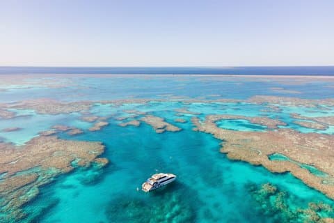 Crucero de día completo por la Gran Barrera de Coral desde Shute Harbour