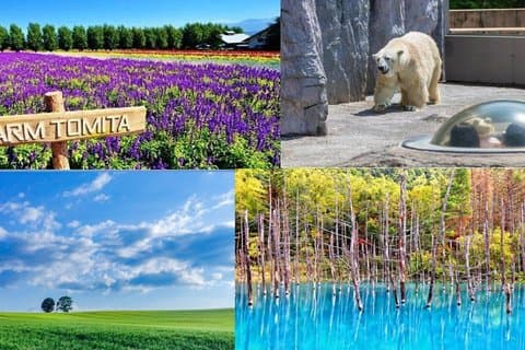 2026 Biei Blue Pond "Aoi-Ike", Asahiyama Zoo and Farm Tomita