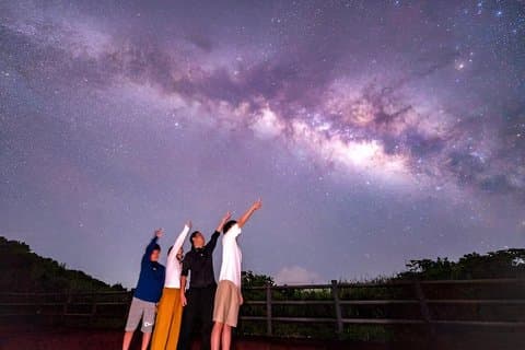 Okinawa Iriomotejima Night Adventure Tour