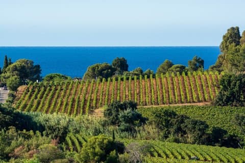 Privat rundtur : Provence vinprovning och naturskön by