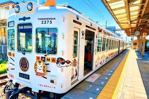 Classic One Day Tour from Kansai to Wakayama Prefecture