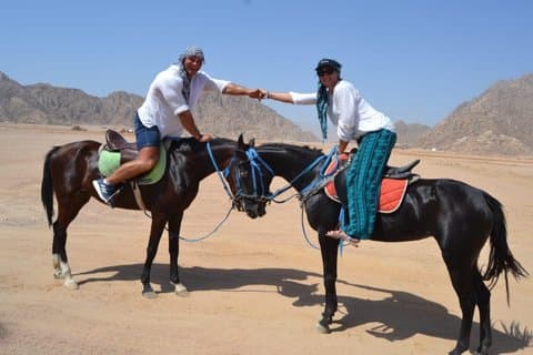 Hurghada - Balade à cheval de 2 heures sur la plage et le désert avec transfert