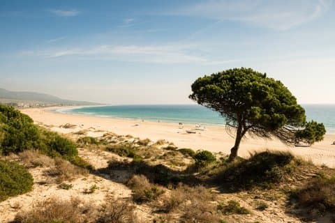 Tarifa & Bolonia – Private Shore Tour from Seville Port