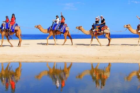 Aventura en camello de una hora con traslado en Sharm El Sheikh
