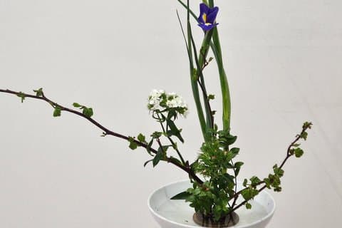 Coréen Flower Arrangement Activité dans Busan