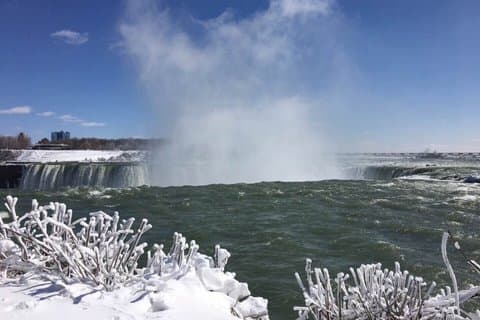 Toronto til Niagara Falls dagstur med besøg i vingården