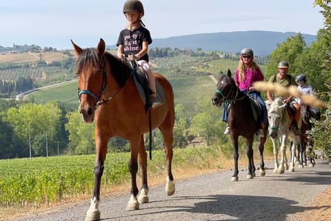 Pequeno grupo passeio de vinho a cavalo, San Gimignano, Almoço