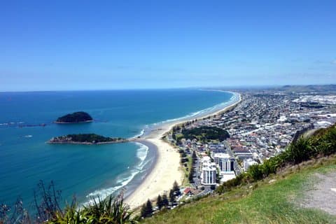 Tauranga Shore Excursion: History & Kiwifruit Tasting – 4 Hours