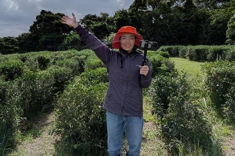 Yamagusuku Tea Field Tour and Tasting with English Guide