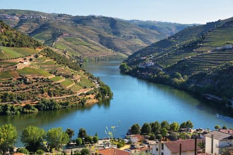 Tour privado por la costa desde Lamego con vistas al Duero