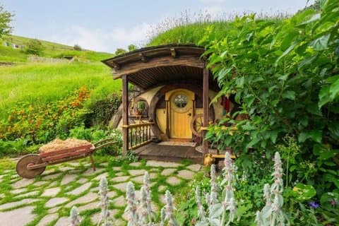 Tour di un giorno di Hobbiton e Blue Springs da Auckland