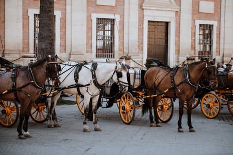 Sevilla privat Carriage Ride Tour