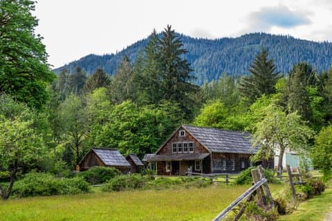 Lake Quinault Rainforest Tour Nature and Wildlife Adventure
