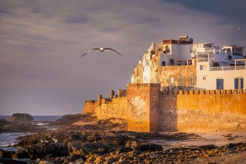 Excursión de un día a Essaouira desde Medina guiada por Agadir y escapada costera