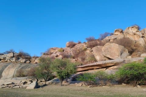 Udaipur - Jodhpur Jawai Safari, Ranakpur & Khumbhalgarh Fort Tour