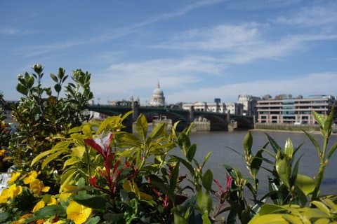 Visite à pied en petit groupe de London Summer Sights
