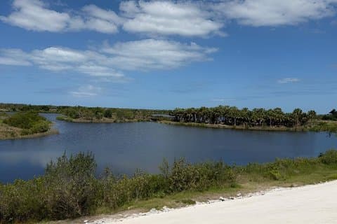 Tour en kayak guiado de 2 horas por Robinson Preserve