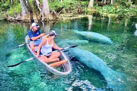 Silver Springs Clear Kayak Tour – Manatees & Monkeys Tour