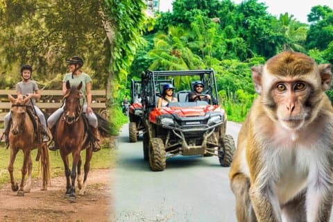 Besök på en lokal Ranch Plantation med Monkeys Horseback & Buggy