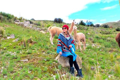 Vanaf Puno Dagtrip naar Chucuito, Aramu Muru en Juli