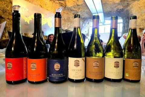 Tour del vino da Parigi alla Valle della Loira con degustazioni