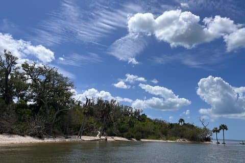 Ekotur i Crystal River