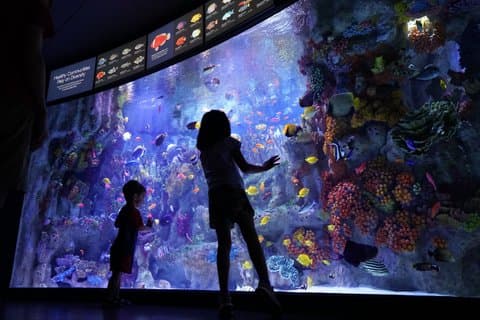 Eintrittskarte für das New England Aquarium in Boston