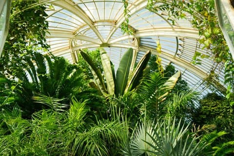 Visita autoguiada a los Jardines de Kew Richmond