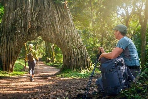 13 - Día Tanzania Safari : Gran Migración, Kilimanjaro & Cultura