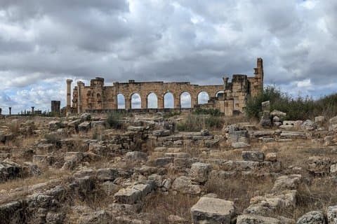 Day Tour to Volubilis & Meknes from Fes