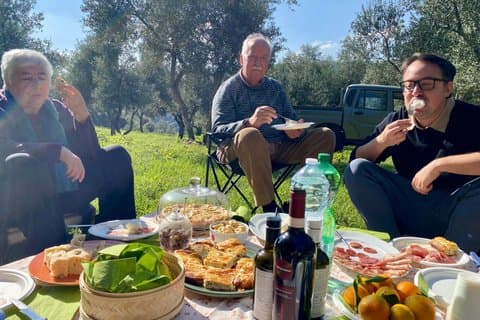 Picnic in Century’s Olives Grove Near Matera