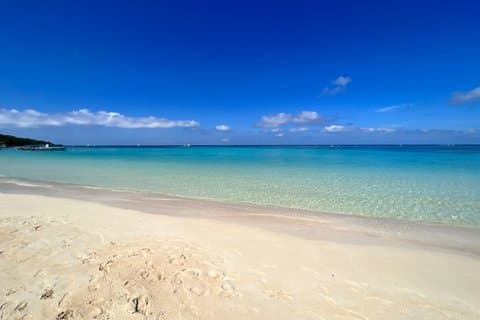 Roatan West Bay Beach Break with Roundtrip Transfer