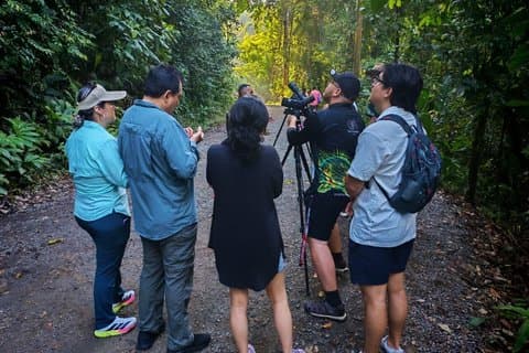 Fortgeschrittener Wanderer und Wildtierführer Manuel Antonio