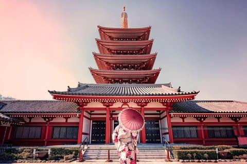 Best of Tokyo Guided Half Day City Tour with a local
