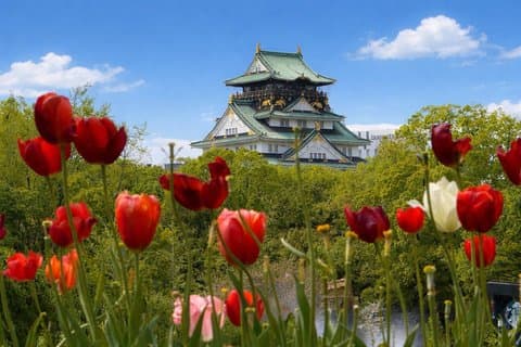 Osaka Flavors & Landmarks: Castle, Shinsekai & Food Tasting