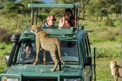 Ultimata Kenya Safari & Kultur Tour | Maasai Mara, stränder och mer
