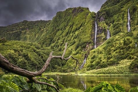 Complete Tour of Flores Island in the Azores