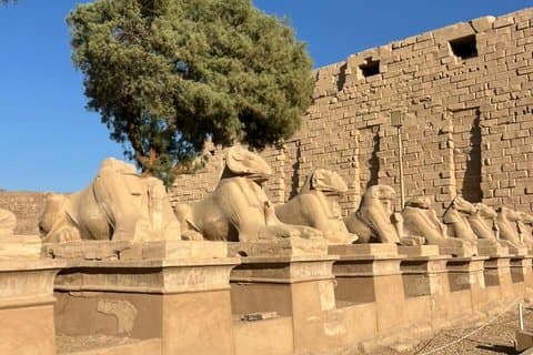 Private Luxor East Bank Tour Karnak og Luxor Temple med afhentning