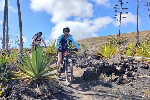 Lanzarote E-Bike Tour: Cratères de volcan & vignobles pittoresques