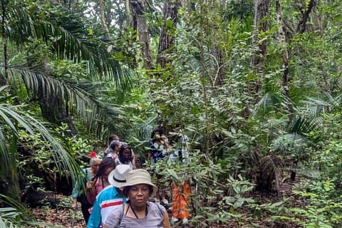 Sansibar Insel : Waldwege & Schildkrötenbegegnungen