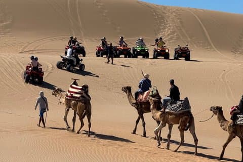 Agadir/Taghazout: Quad cykel og kamel ridning Desert & Beach