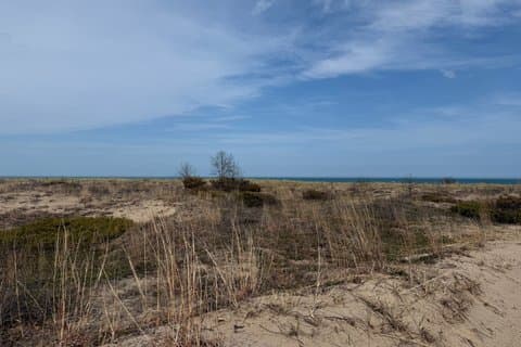 Rejser til Illinois Dunes