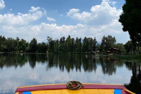 Discover an Oasis of Nature in Xochimilco